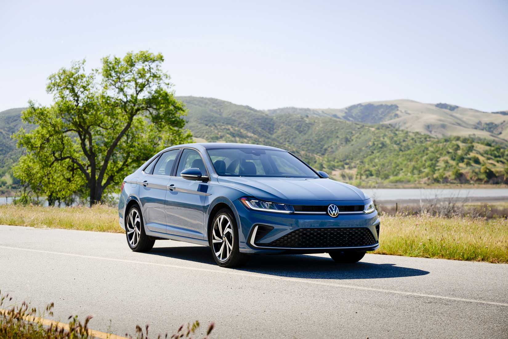Volkswagen flagship model